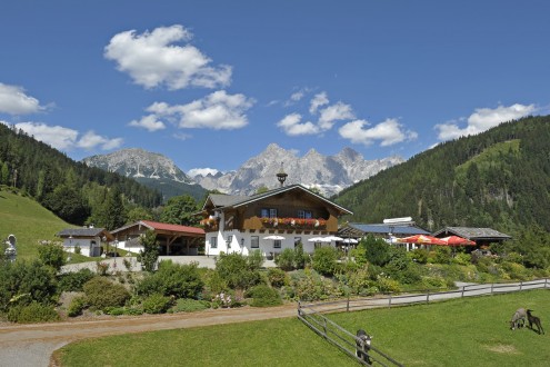 Im Hintergrund der Dachstein